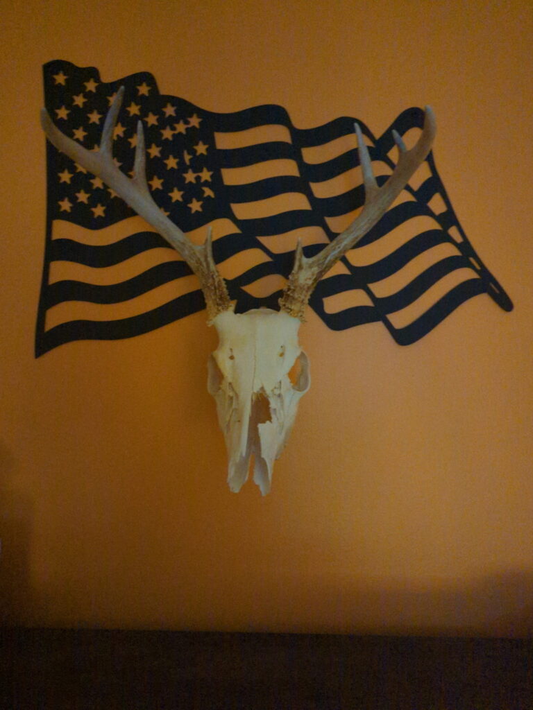 Image #1 from Craig H