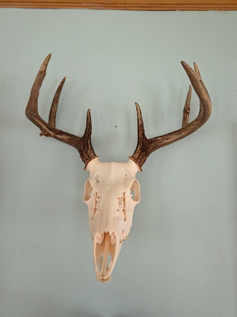 Image #1 from Greg O'Connor