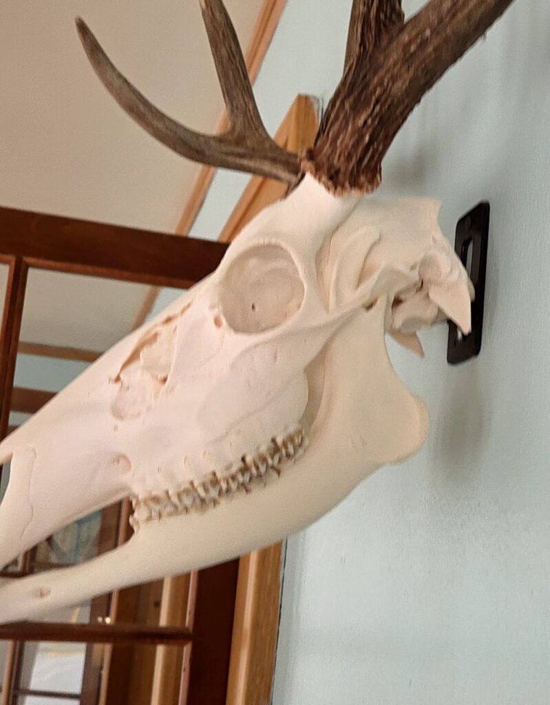 Image #2 from Greg O'Connor