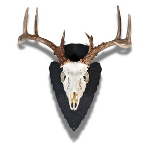 Deer skull on black arrowhead hanger