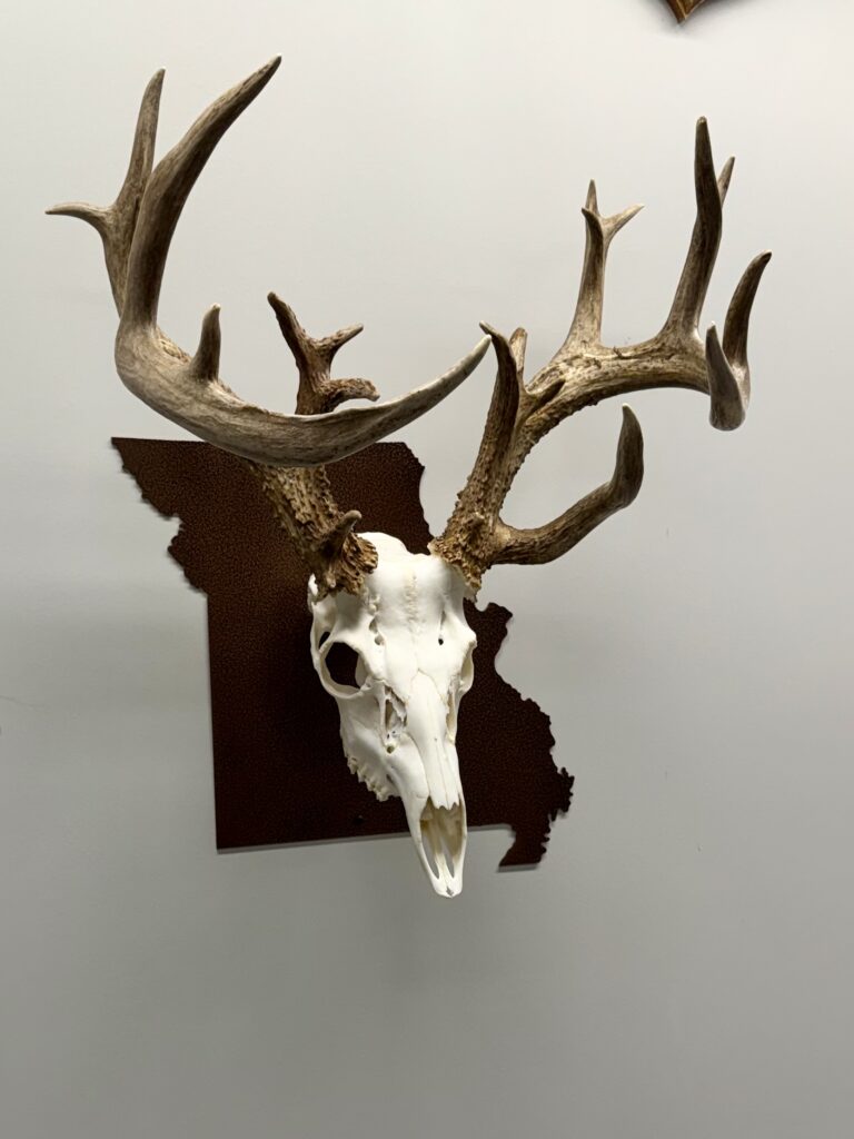 Image #1 from Chris Kok