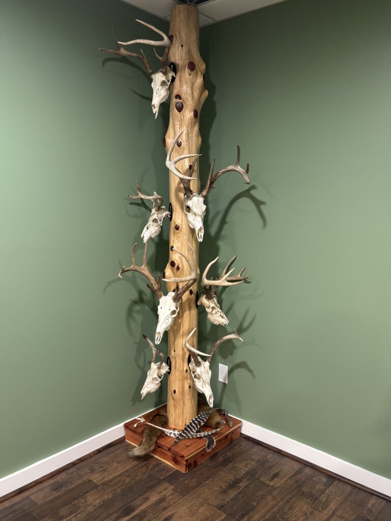 Image #1 from Brandon Van Bibber