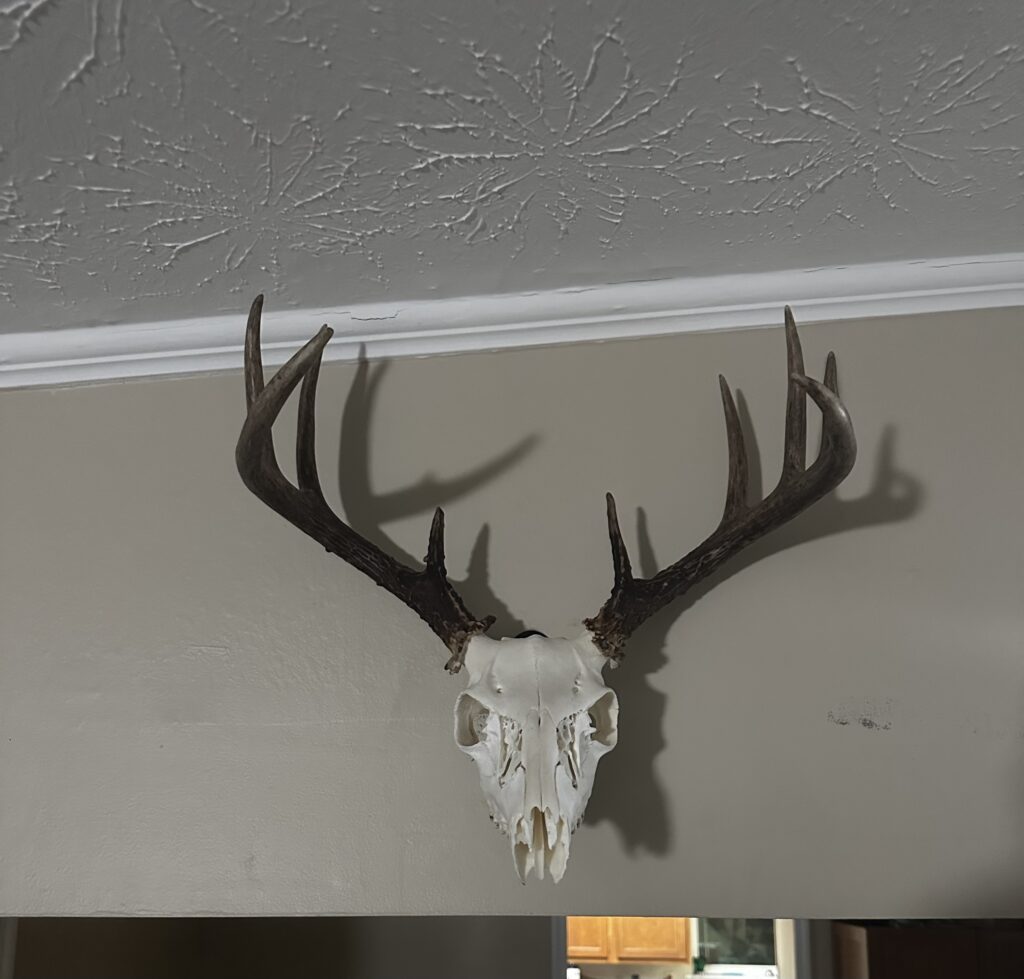 Image #1 from Ben smith