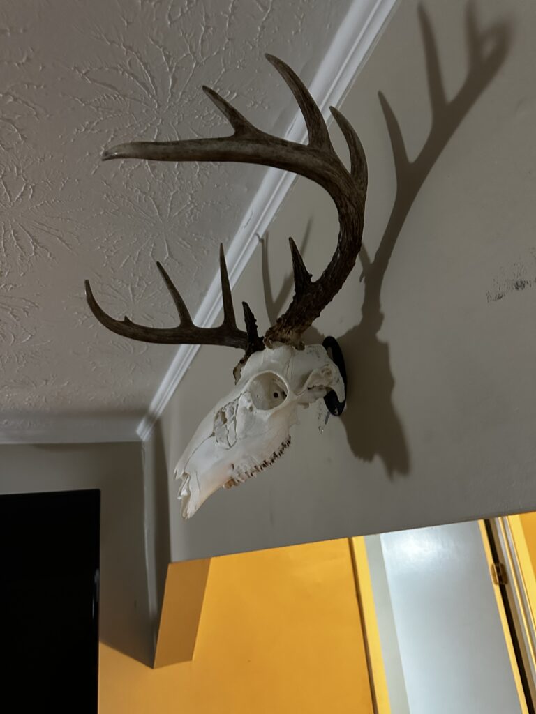 Image #2 from Ben smith