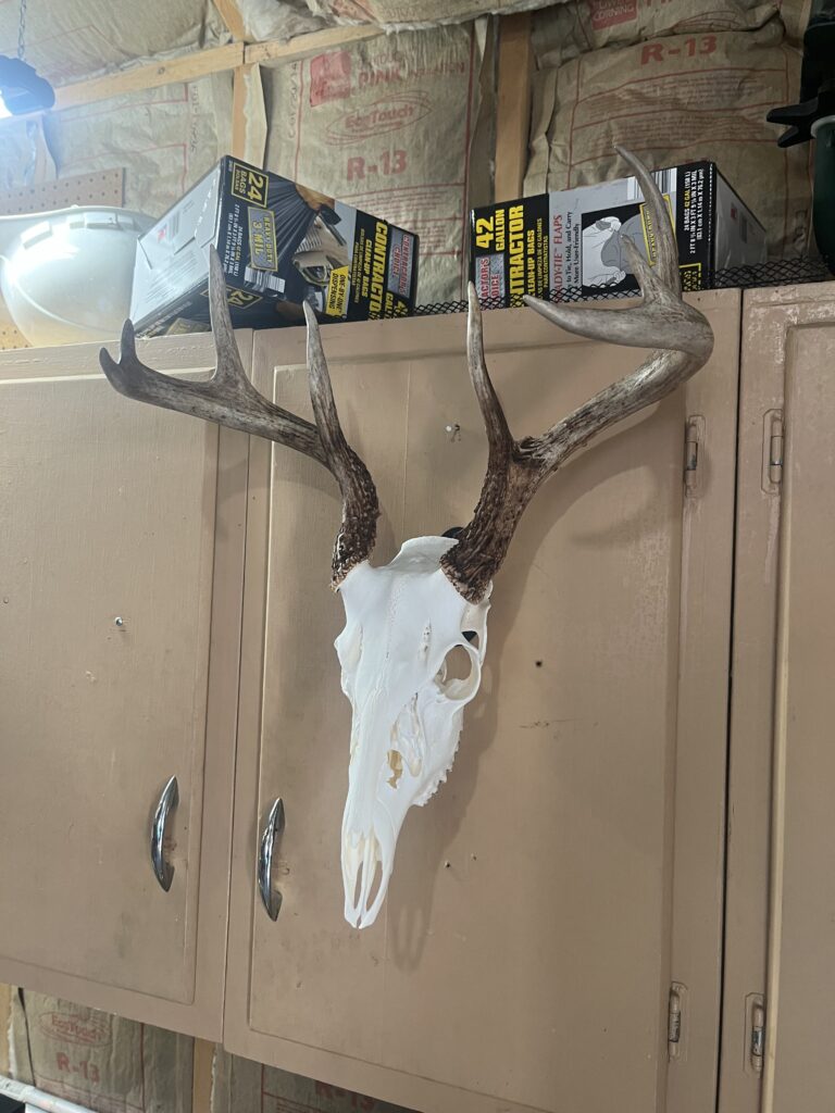 Image #1 from Doug Dygert