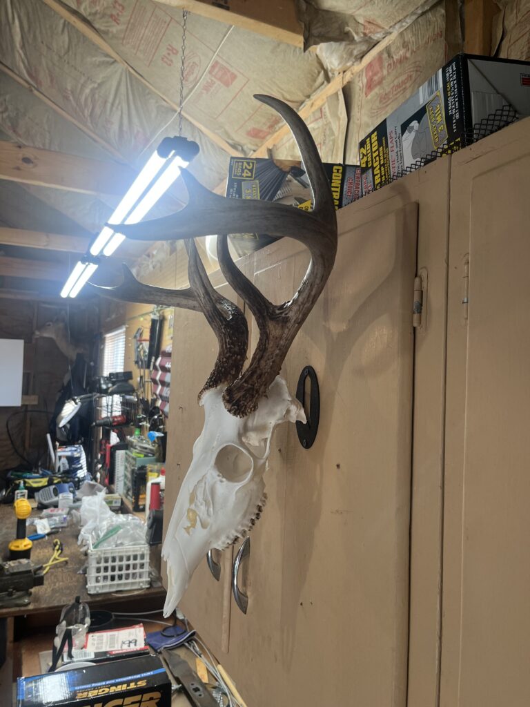 Image #2 from Doug Dygert