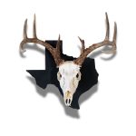 Deer Skull on Black Texas State European mount skull hanger