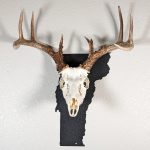 Deer skull on state of Vermont black color