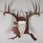 Deer skull on the state of Alaska copper color