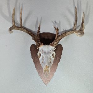 Arrowhead Easy European Mount Skull Hanger - Antiqued Copper