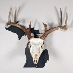 Deer skull on state of Michigan black color