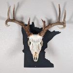 Deer skull on state of Minnesota black color