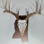Deer skull on the state of Mississippi copper color