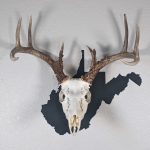 Deer skull on state of West Virginia black color