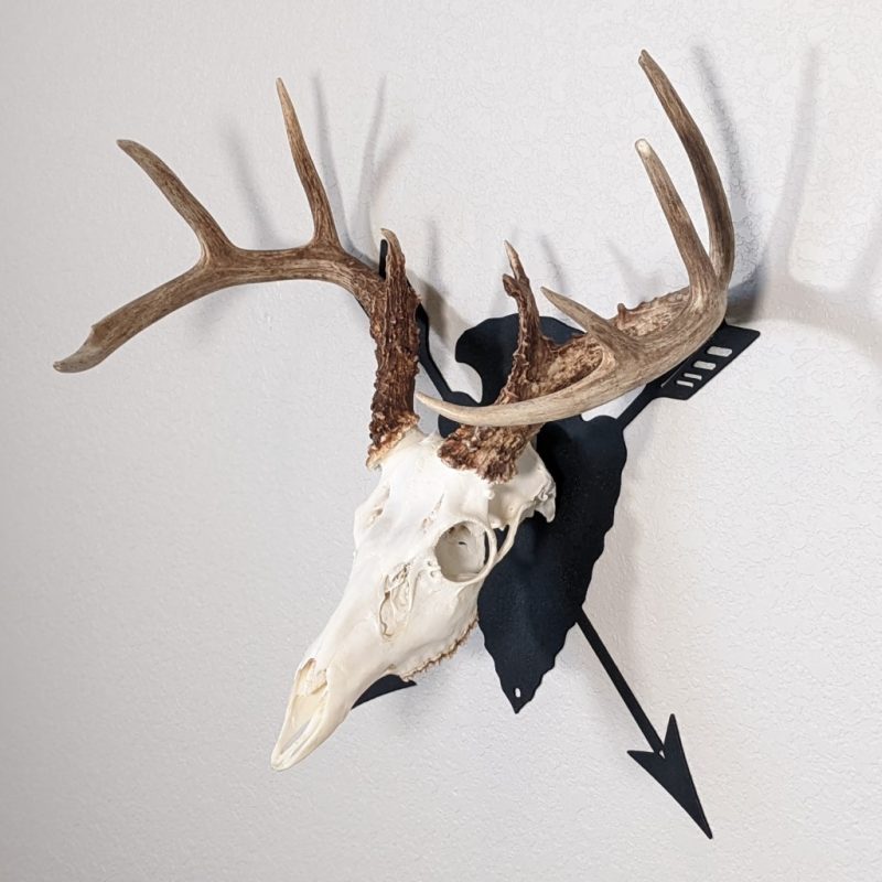 Arrowhead with arrows European skull mount hanger. black color with deer skull at an angle.