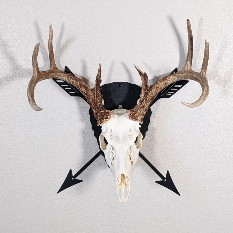 Arrowhead with arrows European skull mount hanger. Black color with deer skull facing forward.