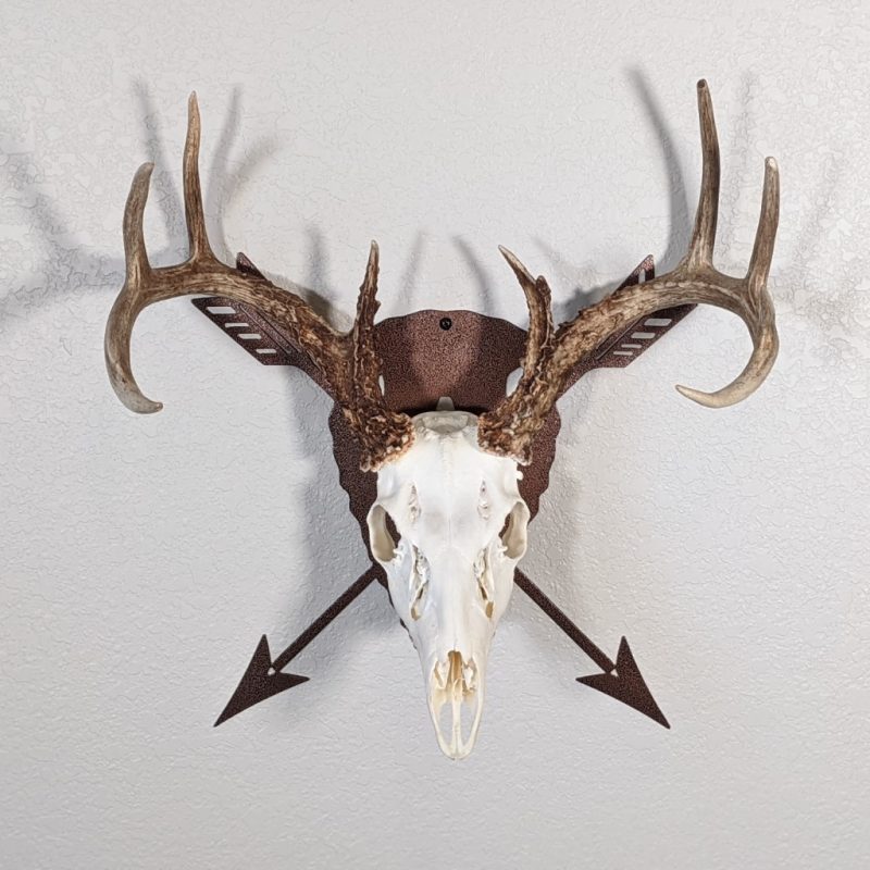Arrowhead with arrows European skull mount hanger. Copper color with deer skull facing forward.