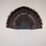 Kabash Outdoors American steel turkey fan display hanger. Fan holder is textured black with a classic scalloped edge design. It is holding a beautiful turkey tail.