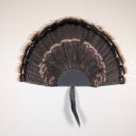 Kabash Outdoors American steel turkey fan display hanger. Fan holder is textured black with a classic scalloped edge design. It is holding a beautiful turkey tail and beard