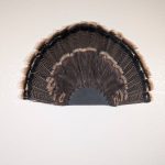 Kabash Outdoors American steel turkey fan display hanger. Fan holder is textured black with a saw blade design. It is holding a beautiful turkey tail.