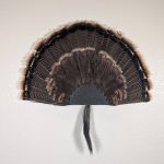 Kabash Outdoors American steel turkey fan display hanger. Fan holder is textured black with a saw blade design. It is holding a beautiful turkey tail and beard.