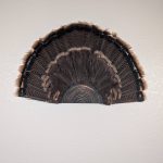 Kabash Outdoors American steel turkey fan display hanger. Fan holder is textured black and looks like a tree stump. It is holding a beautiful turkey tail.