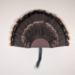Kabash Outdoors American steel turkey fan display hanger. Fan holder is rustic brown with a classic scalloped edge design. It is holding a beautiful turkey tail and beard.