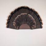 Kabash Outdoors American steel turkey fan display hanger. Fan holder is rustic brown with a saw blade design. It is holding a beautiful turkey tail.