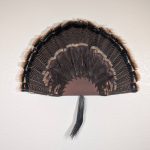 Kabash Outdoors American steel turkey fan display hanger. Fan holder is rustic brown with a saw blade design. It is holding a beautiful turkey tail and beard.