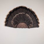 Kabash Outdoors American steel turkey fan display hanger. Fan holder is rustic brown and looks like a tree stump. It is holding a beautiful turkey tail.