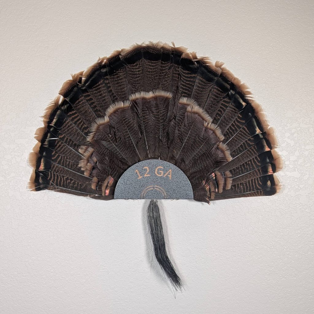 Kabash Outdoors American steel turkey fan display hanger. Fan holder is hammered silver and looks like the end of a 12ga shotgun shell. It is holding a beautiful turkey tail and beard.