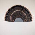 Kabash Outdoors American steel turkey fan display hanger. Fan holder is hammered silver with a classic scalloped edge design. It is holding a beautiful turkey tail.