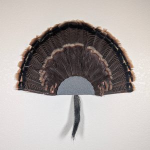 Kabash Outdoors American steel turkey fan display hanger. Fan holder is hammered silver with a classic scalloped edge design. It is holding a beautiful turkey tail and beard.