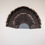 Kabash Outdoors American steel turkey fan display hanger. Fan holder is hammered silver with a saw blade design. It is holding a beautiful turkey tail.