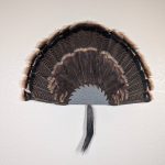 Kabash Outdoors American steel turkey fan display hanger. Fan holder is hammered silver with a saw blade design. It is holding a beautiful turkey tail and beard.
