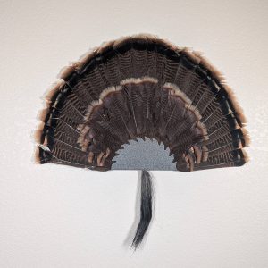 Kabash Outdoors American steel turkey fan display hanger. Fan holder is hammered silver with a saw blade design. It is holding a beautiful turkey tail and beard.