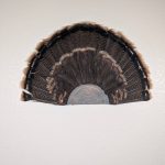 Kabash Outdoors American steel turkey fan display hanger. Fan holder is hammered silver and looks like a tree stump. It is holding a beautiful turkey tail.