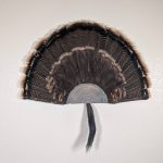Kabash Outdoors American steel turkey fan display hanger. Fan holder is hammered silver and looks like a tree stump. It is holding a beautiful turkey tail and beard.