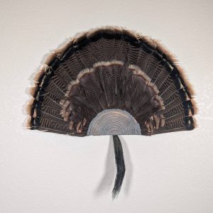 Kabash Outdoors American steel turkey fan display hanger. Fan holder is hammered silver and looks like a tree stump. It is holding a beautiful turkey tail and beard.