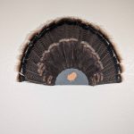 Kabash Outdoors American steel turkey fan display hanger. Fan holder is hammered silver with a turkey silhouette cutout. It is holding a beautiful turkey tail.
