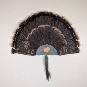 Kabash Outdoors American steel turkey fan display hanger. Fan holder is hammered silver with a turkey silhouette cutout. It is holding a beautiful turkey tail and beard.