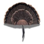 Turkey Fan Holder
