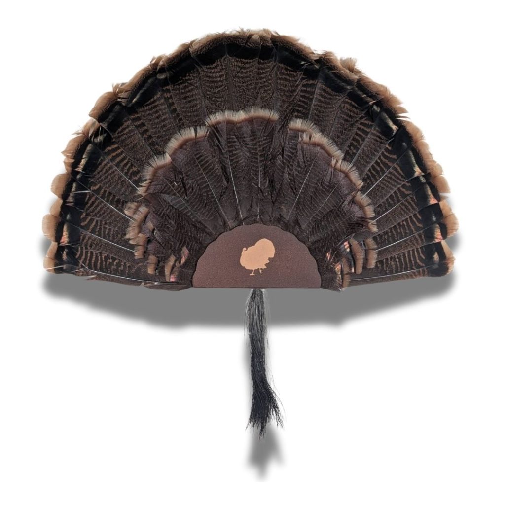 Kabash Outdoors American steel turkey fan display hanger. Fan holder is rustic brown with a turkey silhouette cutout. It is holding a beautiful turkey tail and beard.