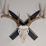 Kabash Outdoor European skull mount hanger featuring a black crossed rifle bullet design displaying a whitetail deer skull.