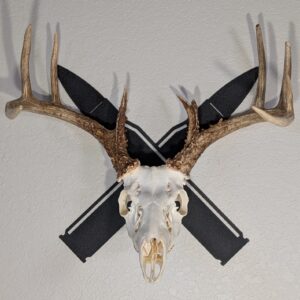 Kabash Outdoor European skull mount hanger featuring a black crossed rifle bullet design displaying a whitetail deer skull.