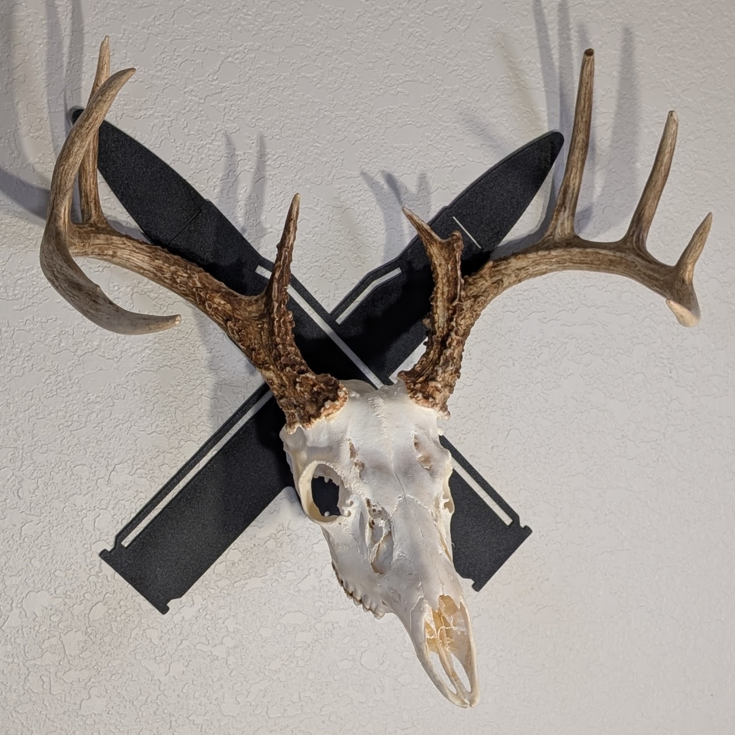 Kabash Outdoor European skull mount hanger featuring a black crossed rifle bullet design displaying a whitetail deer skull at an angle.