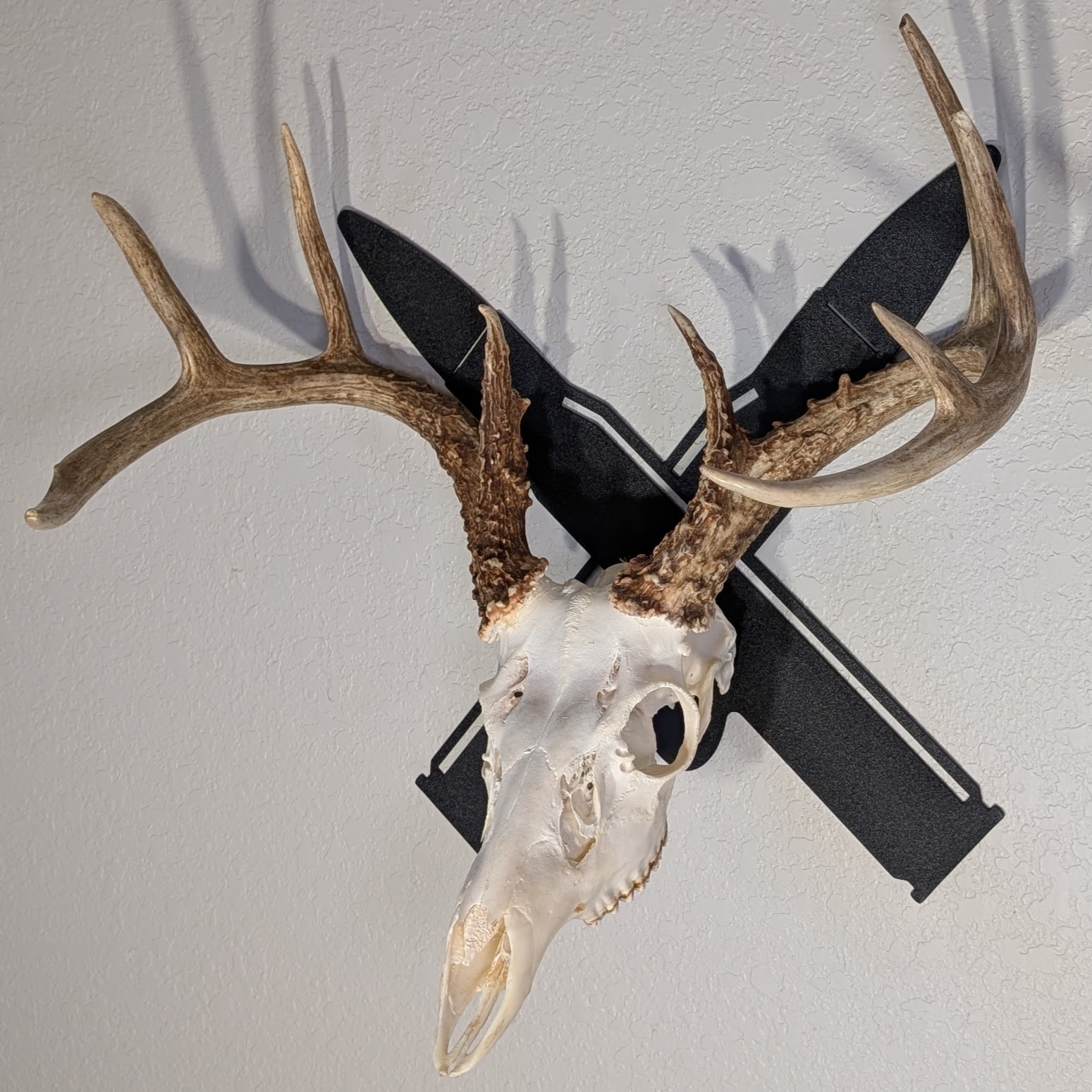 Kabash Outdoor European skull mount hanger featuring a black crossed rifle bullet design displaying a whitetail deer skull at a side angle.