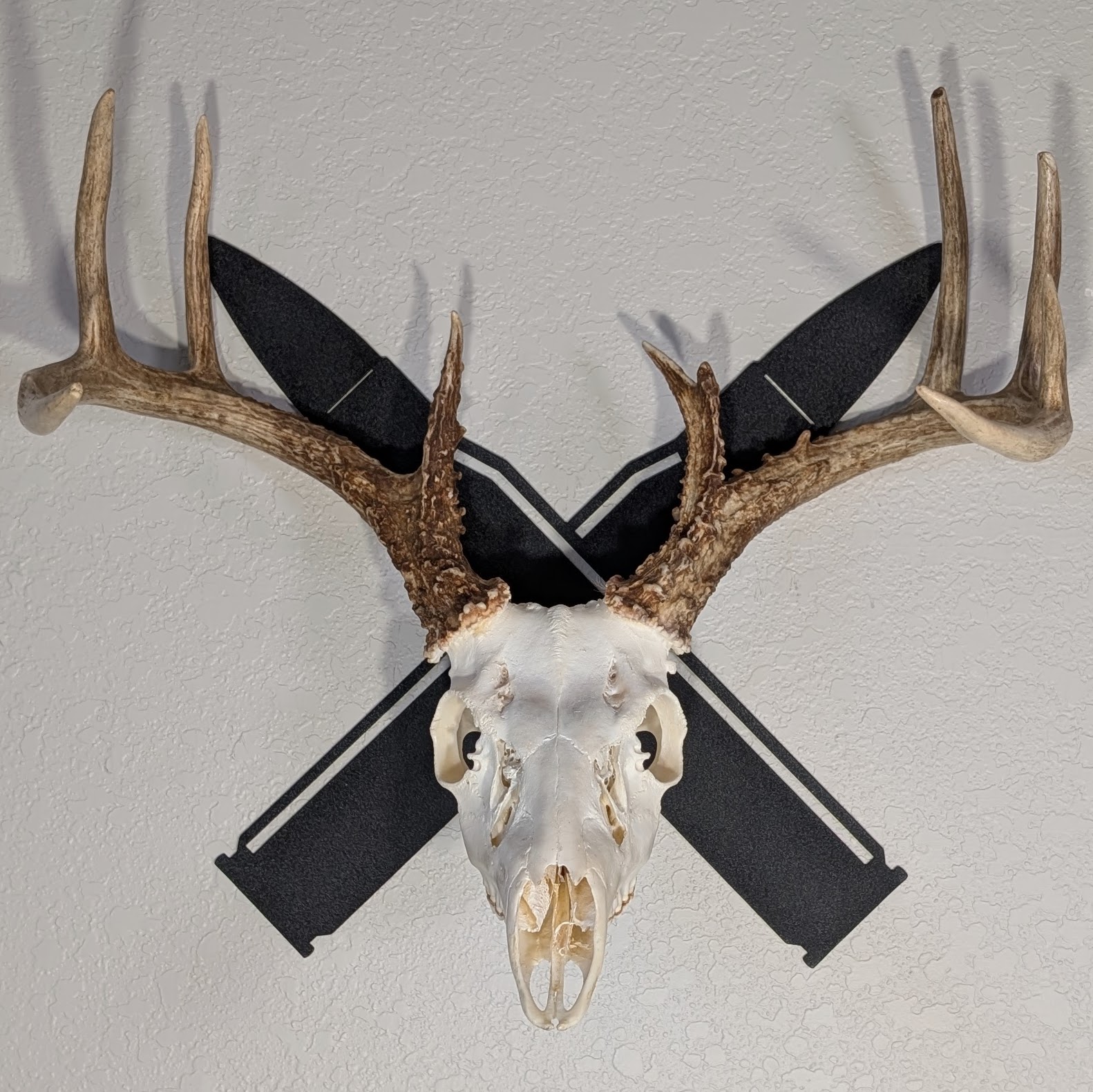 Kabash Outdoor European skull mount hanger featuring a black crossed rifle bullet design displaying a whitetail deer skull.