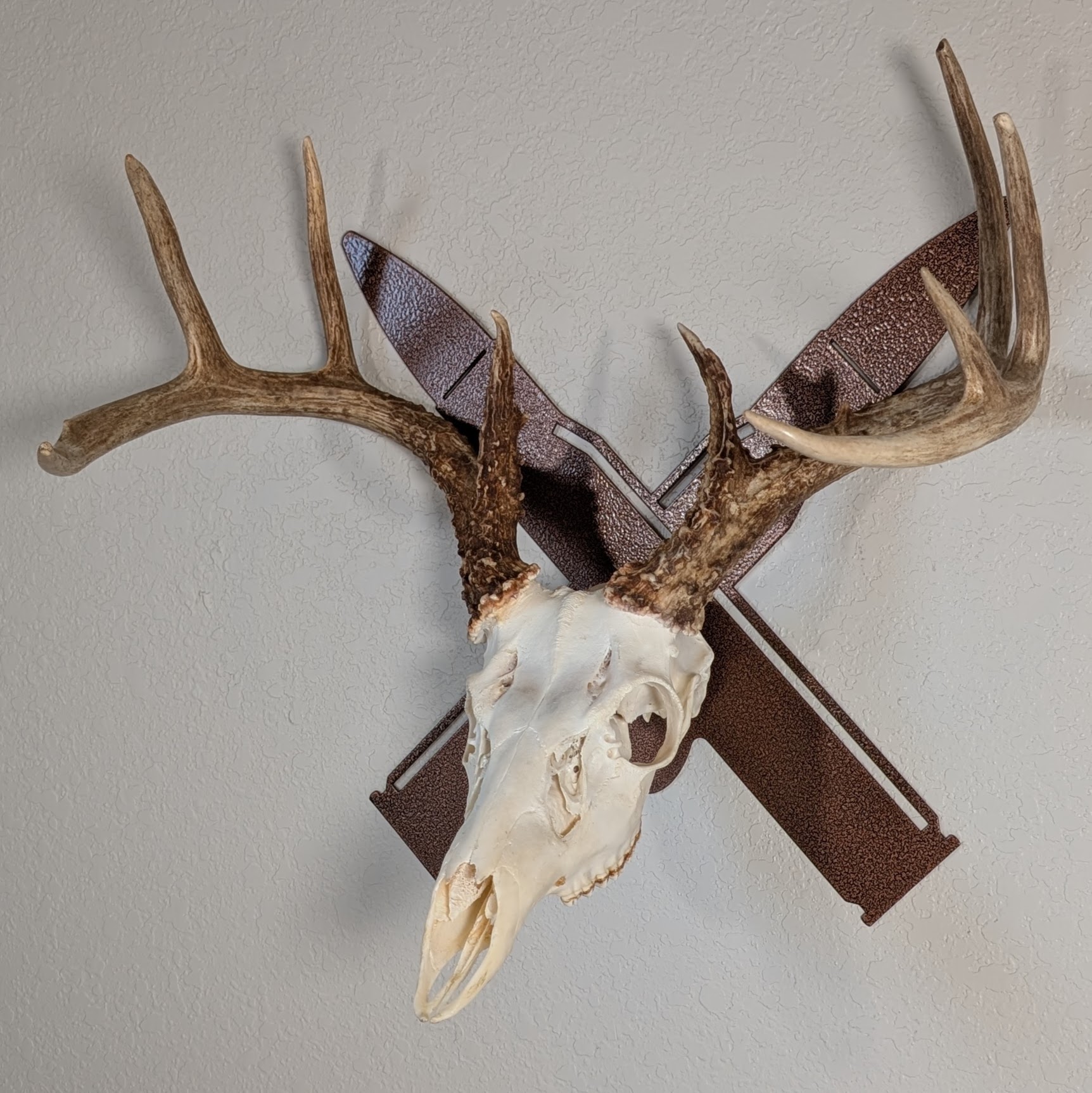 Kabash Outdoor European skull mount hanger featuring a copper crossed rifle bullet design displaying a whitetail deer skull at a side angle.
