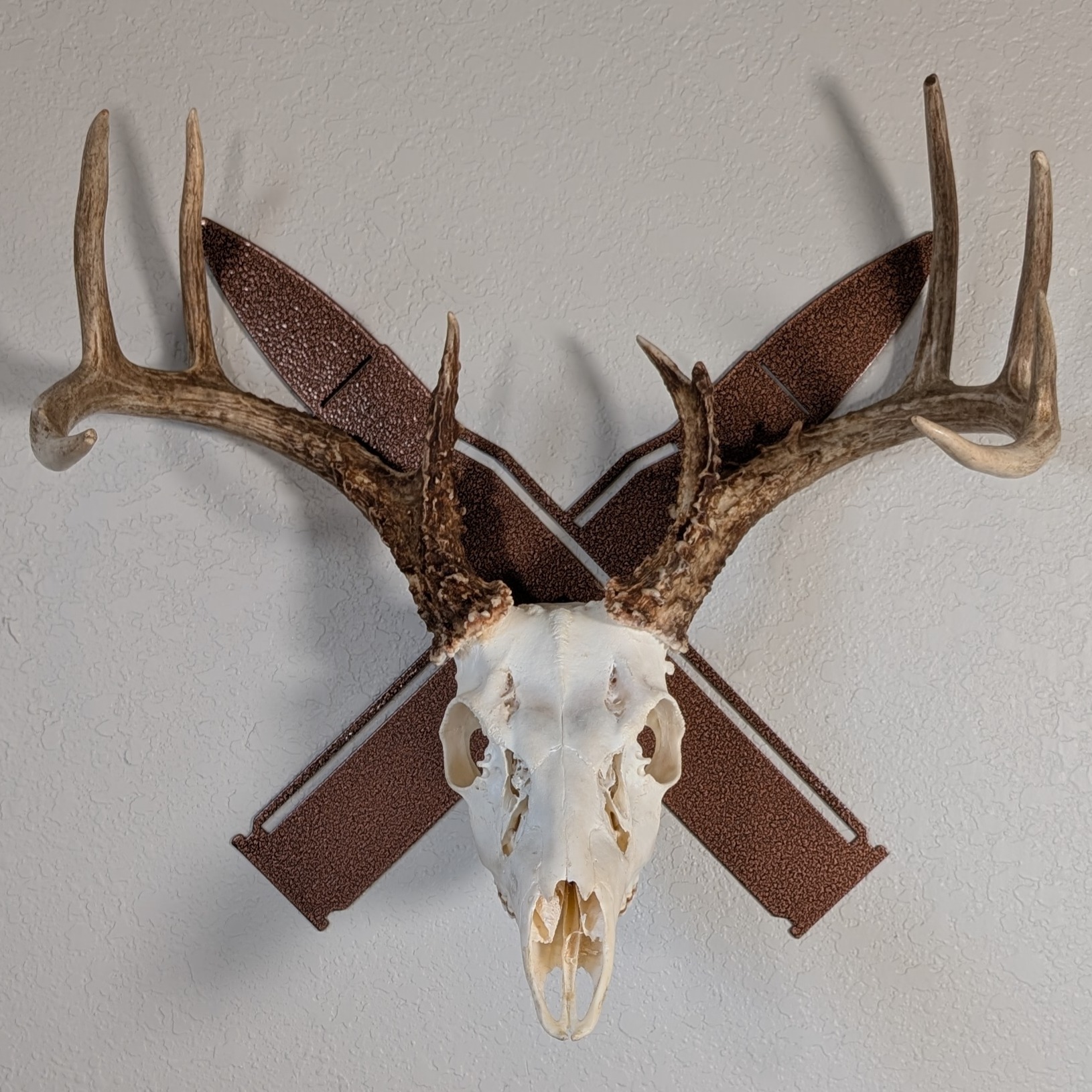 Kabash Outdoor European skull mount hanger featuring a copper crossed rifle bullet design displaying a whitetail deer skull.